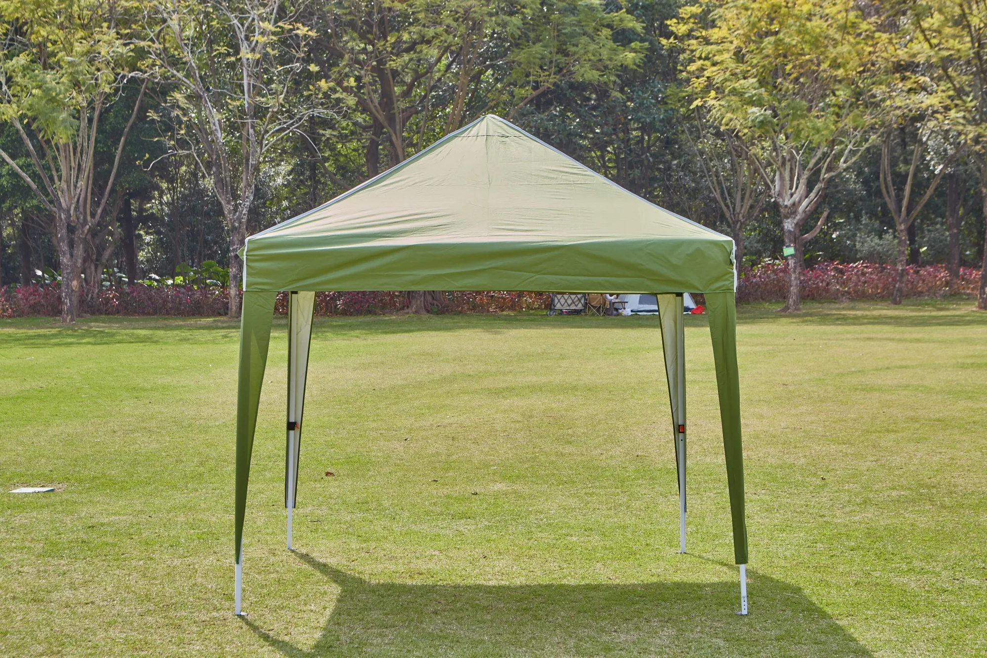 Canopy 10x10Ft