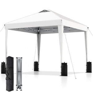 SANWAY 10x10 Pop Up Canopy Tent, One Push Setup, Heavy Duty Portable for Beach Camping Parties with Vents - Silver White